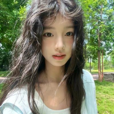 大使阁下的料理人